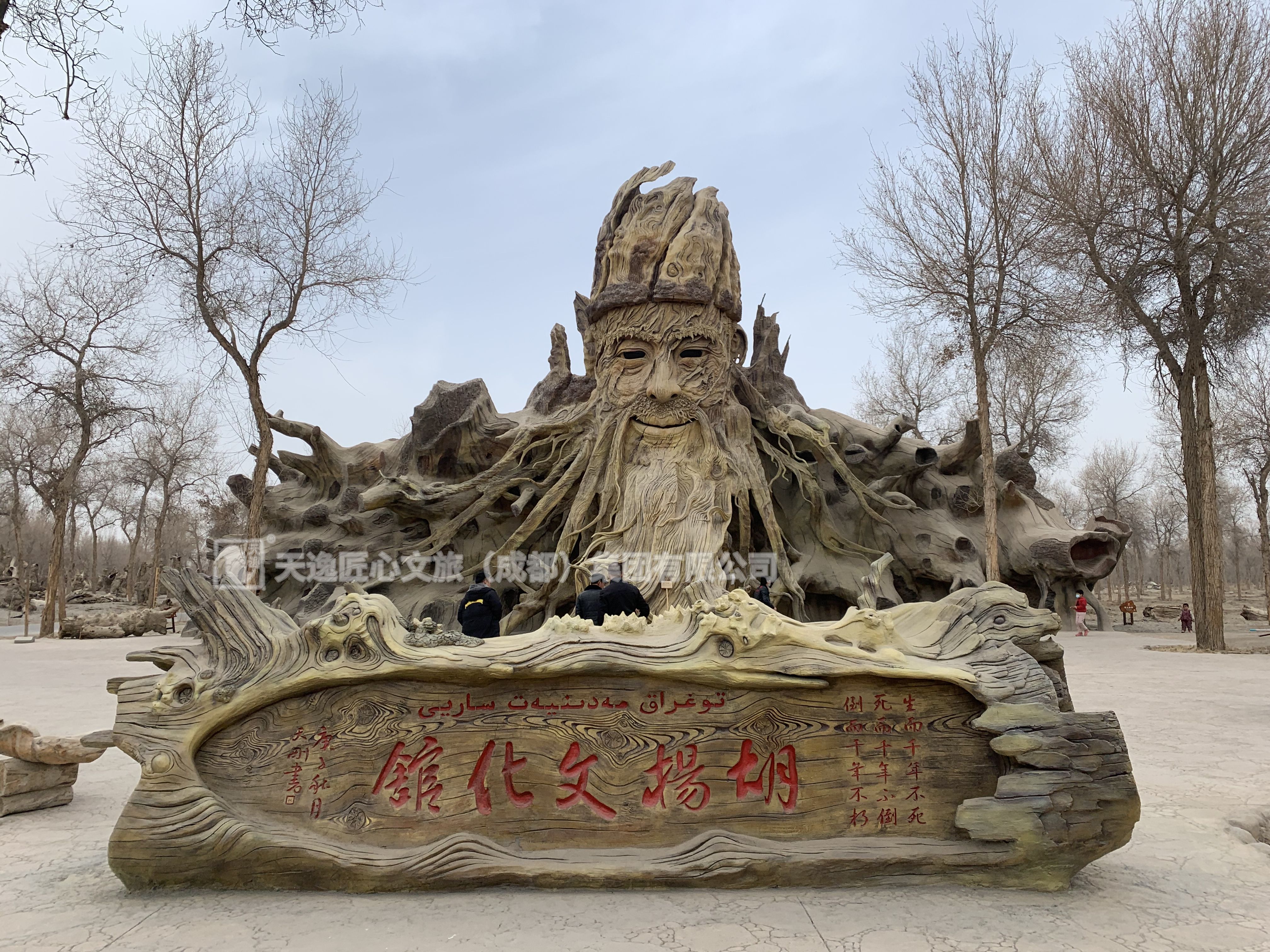新疆树老人